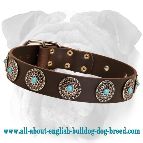 Leather bulldog clearance