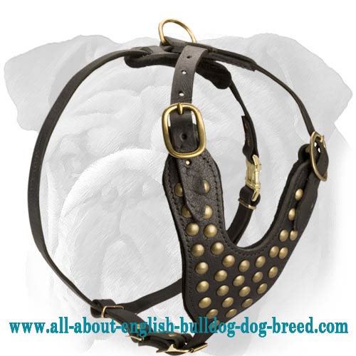 4-Strap Studded Leather Harness