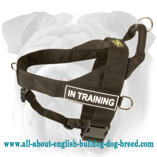 Multifunctional Nylon Rottweiler Harness with ID Patches [H17