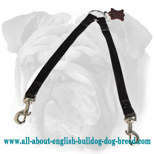 bulldog leash